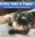 Scotty Gets a Puppy: The Adventures of Scotty the Rescue Dog