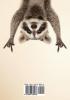 A Raccoon's Story: And Other Short Stories Tales and Poems