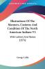 Illustrations Of The Manners Customs And Condition Of The North American Indians V2: With Letters And Notes (1876)