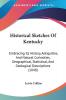 Historical Sketches Of Kentucky: Embracing Its History Antiquities And Natural Curiosities Geographical Statistical And Geological Descriptions (1848)