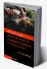 Pocket Guide to the American Board of Emergency Medicine In-Training Exam