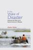 In the Wake of Disaster