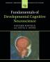 Fundamentals of Developmental Cognitive Neuroscience