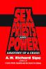 Sex Priests And Power