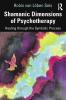 Shamanic Dimensions of Psychotherapy