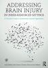 Addressing Brain Injury in Under-Resourced Settings