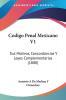 Codigo Penal Mexicano V1: Sus Motivos Concordancias Y Leyes Complementarias (1880)