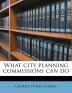 What city planning commissions can do