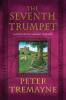 The Seventh Trumpet: A Mystery of Ancient Ireland: 23 (Mysteries of Ancient Ireland 23)