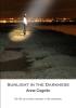 Sunlight in the Darkness : My life as a trans woman in the shadows