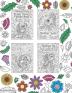 Shih Tzu Adult Coloring Book