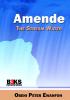 AMENDE - The Stream Water