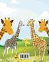 Giraffes Coloring Book for Adults