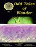 Odd Tales of Wonder #6