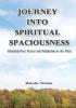 Journey into Spiritual Spaciousness: Climbing Over Fences and Delighting in the Vista