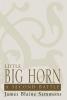 Little Big Horn