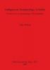 Indigenous Archaeology in India: Prospects of an Archaeology for the Subaltern: Prospects for an Archaeology of the Subaltern: 1927 (British Archaeological Reports International Series)