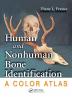 Human and Nonhuman Bone Identification