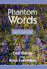 Phantom Words