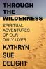 Through the Wilderness: Spiritual Adventures of our Daily Lives