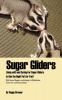 Sugar Gliders