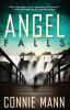 Angel Falls