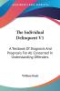 The Individual Delinquent V1: A Textbook Of Diagnosis And Prognosis For All Concerned In Understanding Offenders