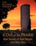 The Icons of the Prairie: Stories of Real People Real Places and Real Silos