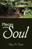 Pieces of the Soul