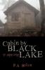 Cabin by Black Lake