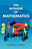 The Wonder of Mathematics