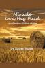 Miracle in a Hay Field