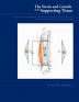 Strain and Growth of the Supporting Tissues: Contributions on the Method Strain of Tension as Mechanical Stimulus by Surgical Correction of Deformations or by Limb Lengthening