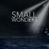 Small Wonders