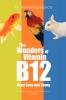 The Wonders of Vitamin B12