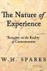 The Nature of Experience