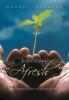 Born Again Afresh