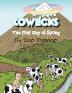 Cowlicks