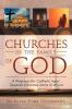 Churches in the Family of God