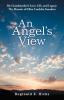 An Angel's View