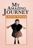 My Amazing Journey