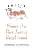 Memoir of a Park Avenue Basset Hound