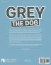 Grey the Dog