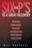 The Six P's to a Great Recovery