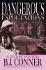 Dangerous Expectations: A Gothic Mystery in the Tradition of Holt and Whitney