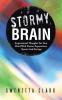 Stormy Brain