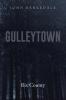 Gulleytown