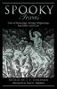 Spooky Texas: Tales Of Hauntings Strange Happenings And Other Local Lore