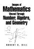 Images of Mathematics Viewed Through Number Algebra and Geometry