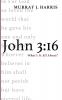 John 3:16: What's It All About?